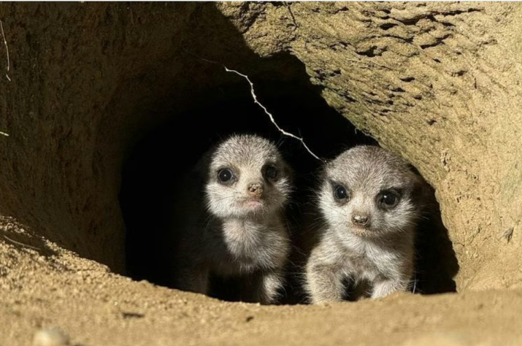 Snimka zaslona 2025-09-21 164358