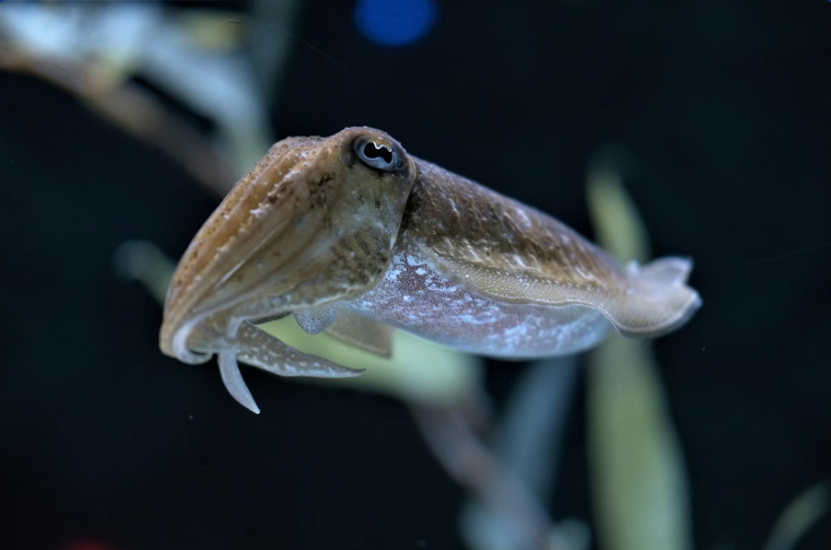 Snimka zaslona 2025-09-21 165622