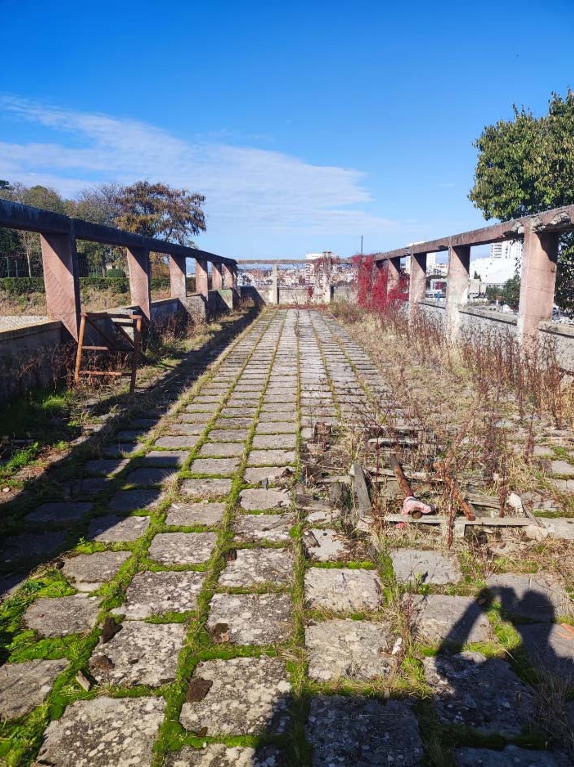 Snimka zaslona 2026-01-21 094641