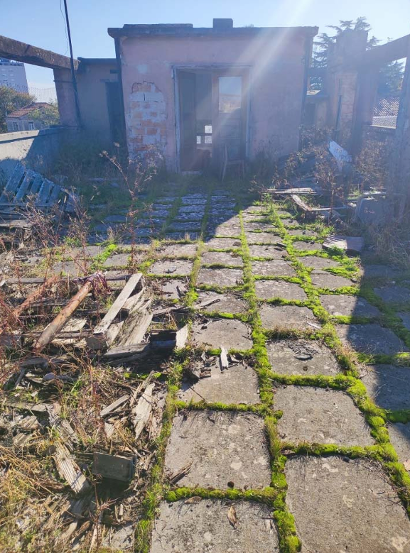 Snimka zaslona 2026-01-21 094658