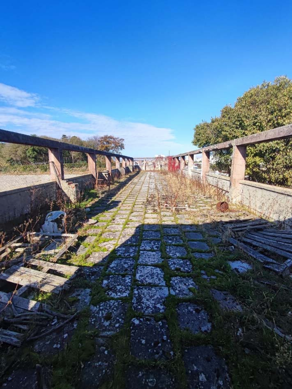 Snimka zaslona 2026-01-21 094705