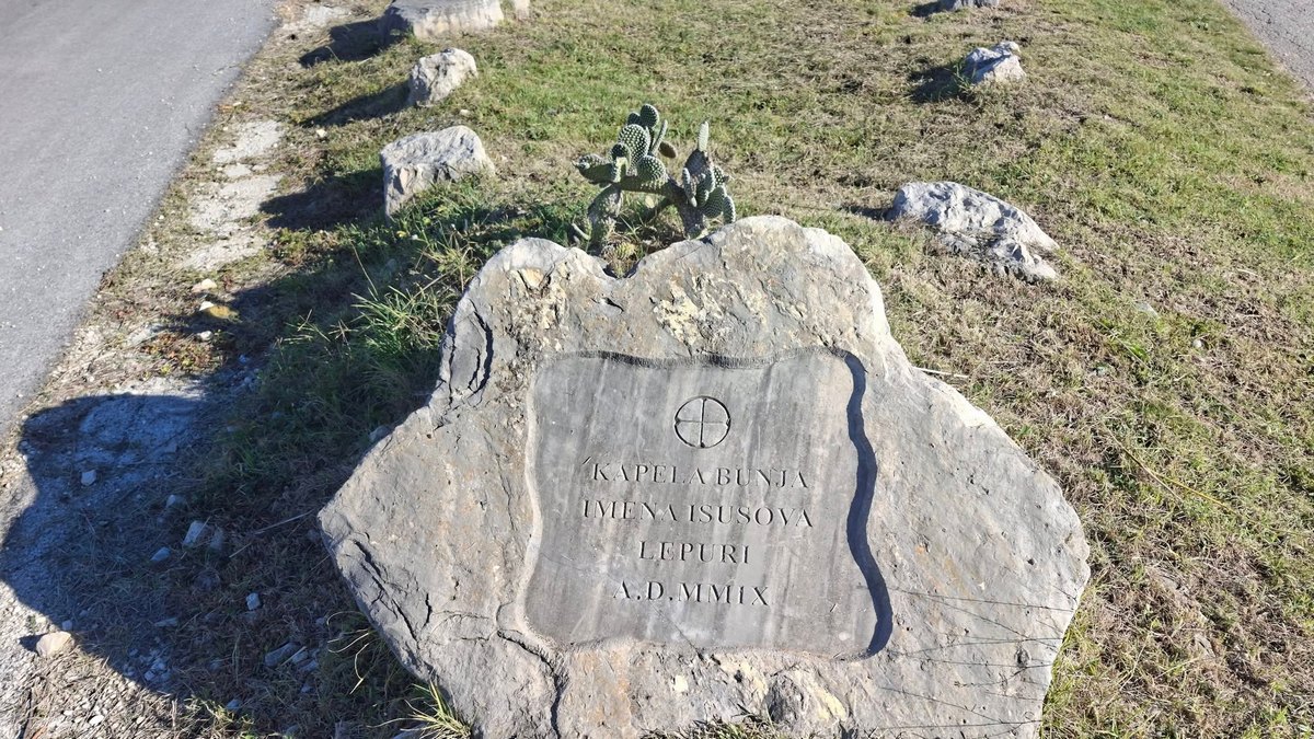 Svečano proslavljen sv. Martin, nebeski zaštitnik Lepura