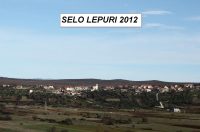 Svečano proslavljen sv. Martin, nebeski zaštitnik Lepura
