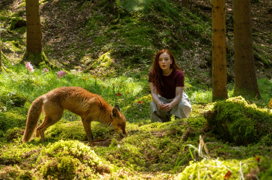 Szenenmotiv 01 – JPEG DeviceRGB HQ