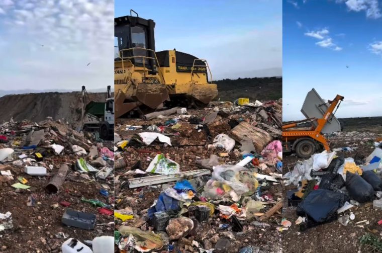 Untitled design (21)