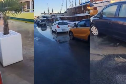 Untitled design (28)