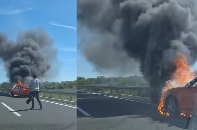 Untitled design (30)