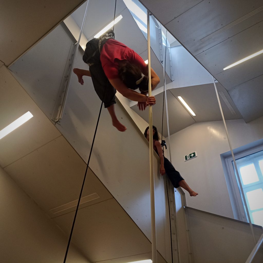 Vertikalne plesne instalacije u prostorima IIPalače