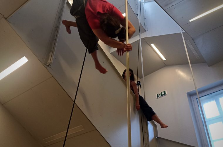 Vertikalne plesne instalacije u prostorima IIPalače