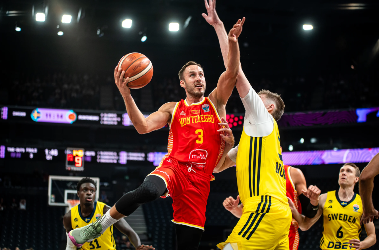 Vladimir Mihailović, reprezentacija Crne Gore