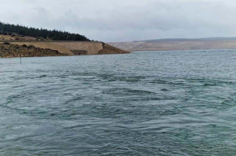 Vrulja—Marija-Petry-1