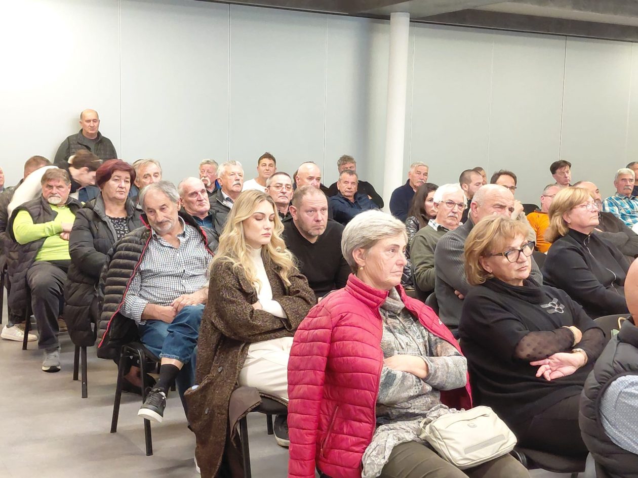 Dani maslinovog ulja, zadarski maslinari