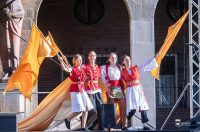 ZPA+nastup ZPA+nastup