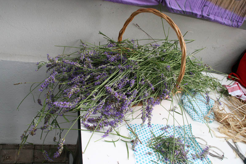 Danas je održana kreativna radionica za velike i male u organizaciji Dječjeg odjela Gradske knjižnice Zadar: izrada stručaka i jastučića od lavande od 10-12 h. Radionicu je vodila gospođa Jadranka Plantak. Foto by Lucija Juravic Danas je održana kreativna radionica za velike i male u organizaciji Dječjeg odjela Gradske knjižnice Zadar: izrada stručaka i jastučića od lavande od 10-12 h. Radionicu je vodila gospođa Jadranka Plantak. Foto by Lucija Juravic