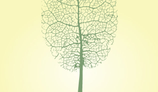 Sušičke kronike – naslovnica