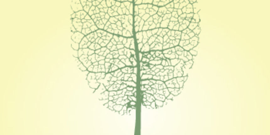 Sušičke kronike – naslovnica