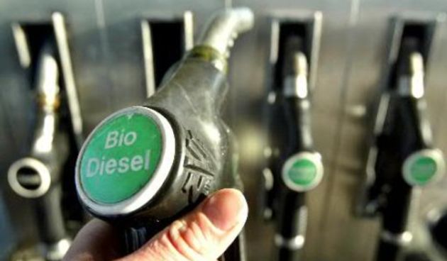 Biodizel (Foto: treehugger.com)