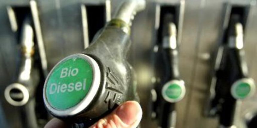 Biodizel (Foto: treehugger.com)