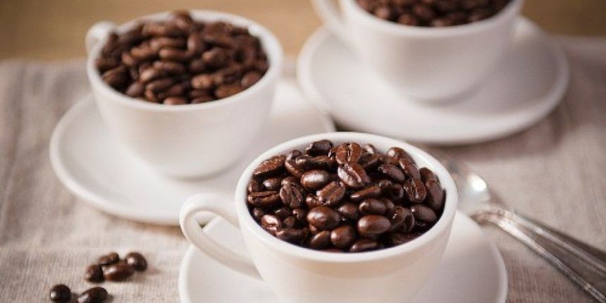 Image 378475 (auto) Image 378475 (auto)