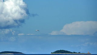 Zadarska regata 2021.