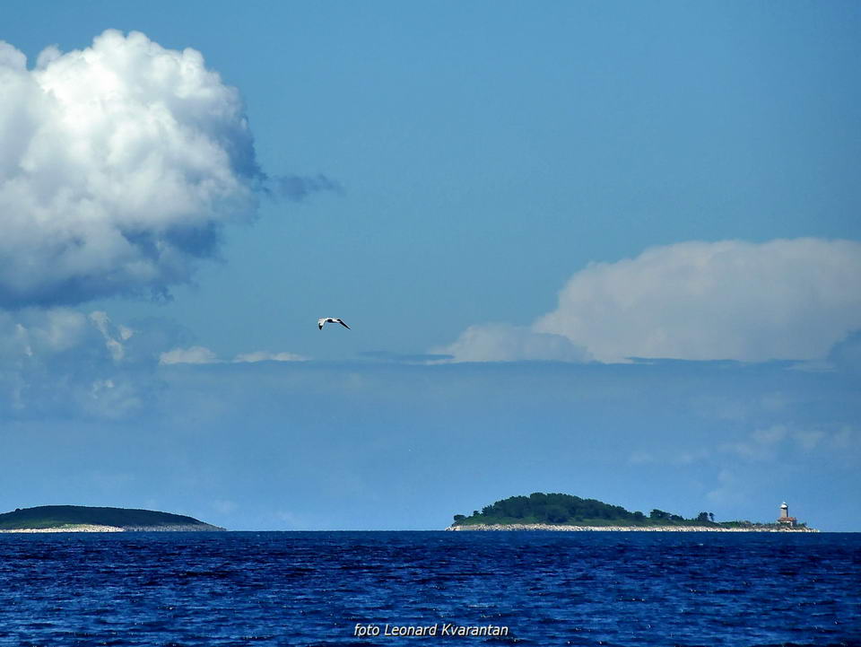 Zadarska regata 2021.