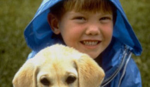 Dječak i psić (Foto: chinaexpat.com)