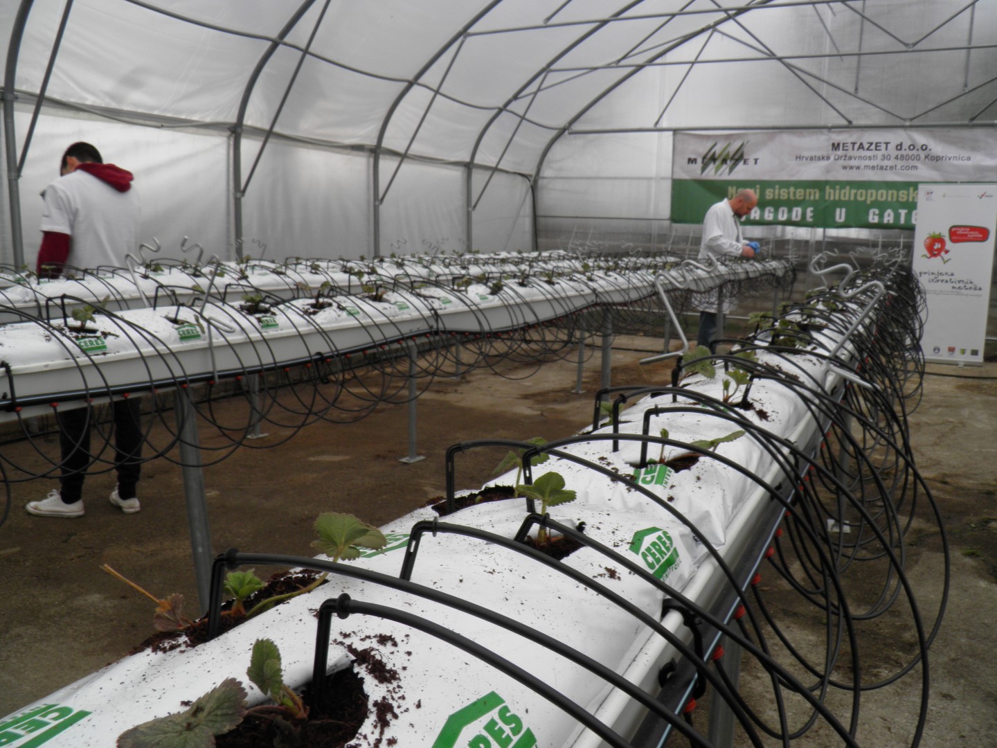 OLYMPUS DIGITAL CAMERA OLYMPUS DIGITAL CAMERA