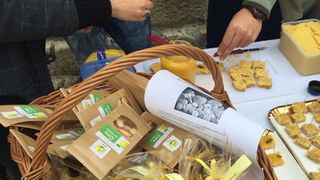 Budući nutricionisti obilježili Svjetski dan dijabetesa