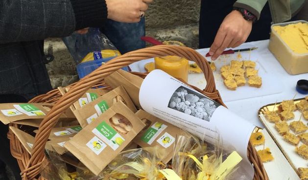 Budući nutricionisti obilježili Svjetski dan dijabetesa