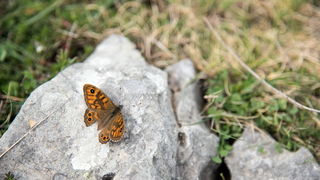 Drugi Planinarski pohod “Hajdemo do Vrane” 2. travnja 2016. Foto: Vinko Pešić