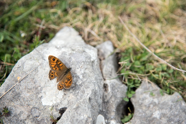 Drugi Planinarski pohod “Hajdemo do Vrane” 2. travnja 2016. Foto: Vinko Pešić