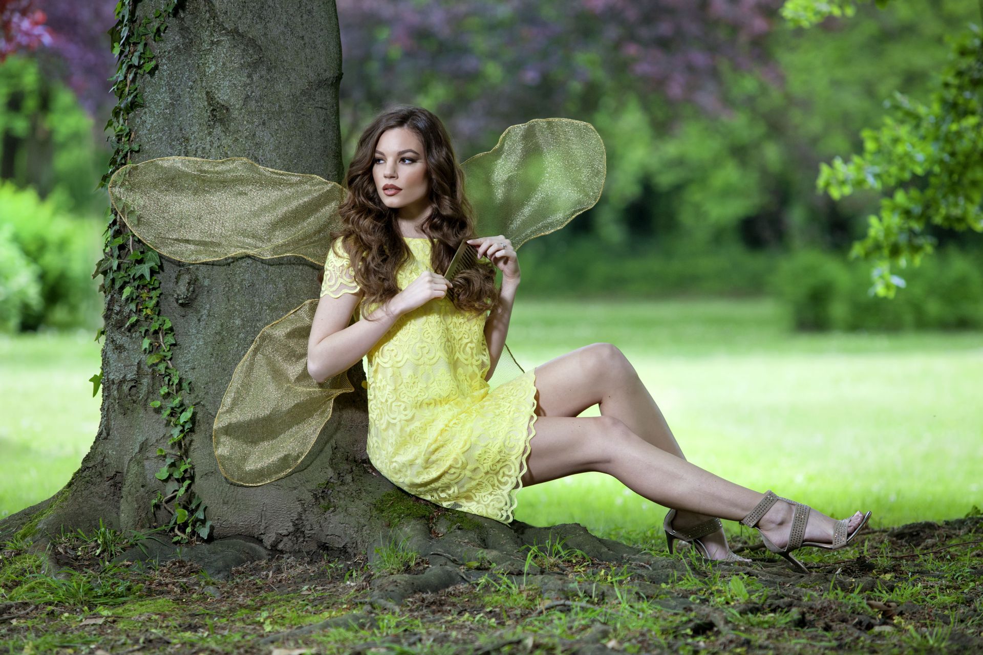 Misice kao šumske vile, koja ima ljepša krila?