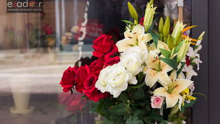 Đir po gradu 14. veljače 2017.