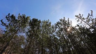 16.03.2014., Juzni Velebit – Topljenje snijega na Juznom Velebitu i procvjetani prvi planinski cvjetovi u ranom proljecu najavljuju skorasnje toplije vrijeme. Photo: Filip Brala/PIXSELL Autor Filip Brala/PIXSELL Ključne riječi rekreacija, planina, pro 16.03.2014., Juzni Velebit – Topljenje snijega na Juznom Velebitu i procvjetani prvi planinski cvjetovi u ranom proljecu najavljuju skorasnje toplije vrijeme. Photo: Filip Brala/PIXSELL Autor Filip Brala/PIXSELL Ključne riječi rekreacija, planina, pro
