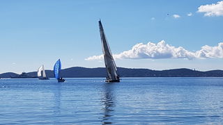 Zadarska Koka 2016. 22. listopada 2016. Foto: Mladen Malik Zadarska Koka 2016. 22. listopada 2016. Foto: Mladen Malik
