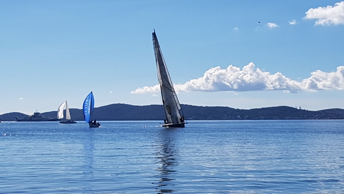 Zadarska Koka 2016. 22. listopada 2016. Foto: Mladen Malik Zadarska Koka 2016. 22. listopada 2016. Foto: Mladen Malik
