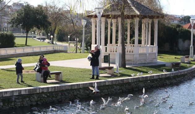 Setnica Gospe od Otoka, zbog niskih zimskih temperatura galebovi se s mora preselili na rijeku Jadro gdje inace obitavaju patke. Photo: Miranda Cikotic/PIXSELL