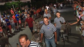 Trka Tovarov – 48. Memorijal Kenje Vijole Sukošan  Photo: Leo Banić