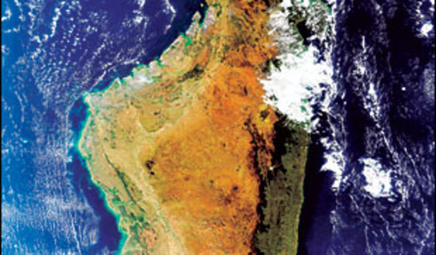 Madagaskar (Foto: reuters)