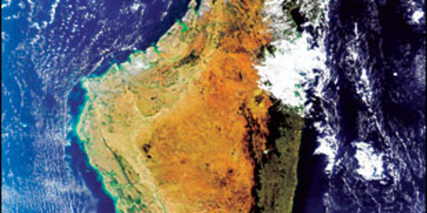 Madagaskar (Foto: reuters)