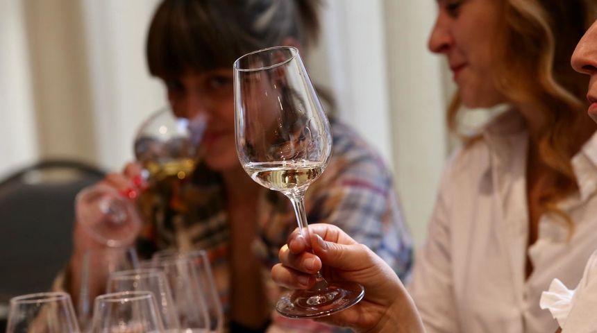 Zaronite u svijet okusa Pošipa i Chardonnaya, Burgundije i Dalmacije