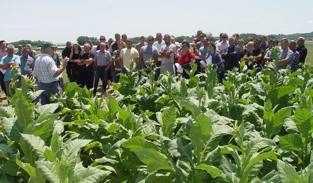 Pilot projekt navodnjavanja uzgoja duhana