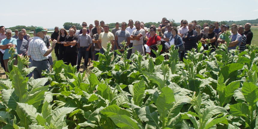 Pilot projekt navodnjavanja uzgoja duhana Pilot projekt navodnjavanja uzgoja duhana