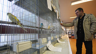 Ornitološko prvenstvo Hrvatske u hotelu Zadar (foto:Saša Čuka)