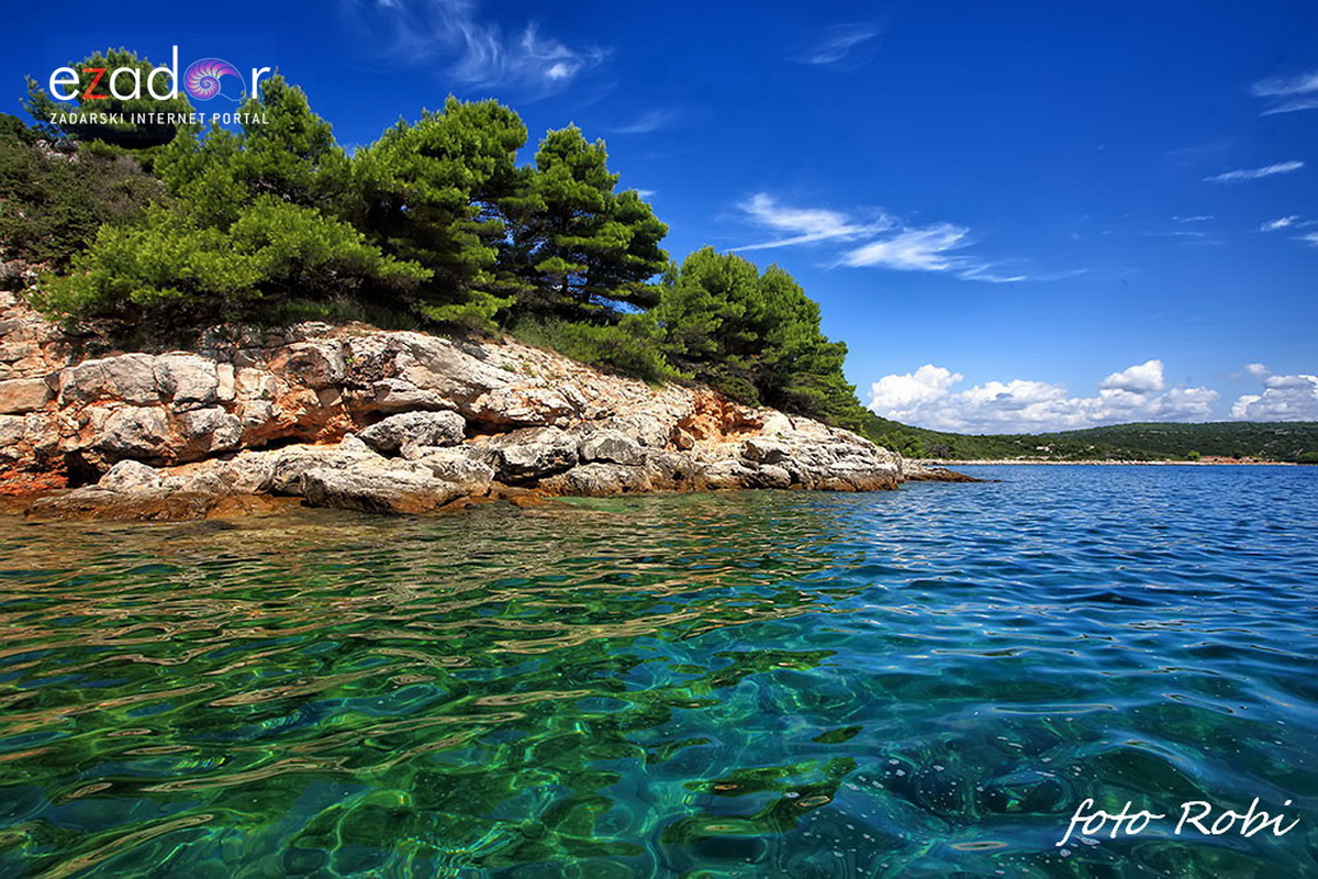 U spomen: Roberto Lerga 1966. – 2016. U spomen: Roberto Lerga 1966. – 2016.
