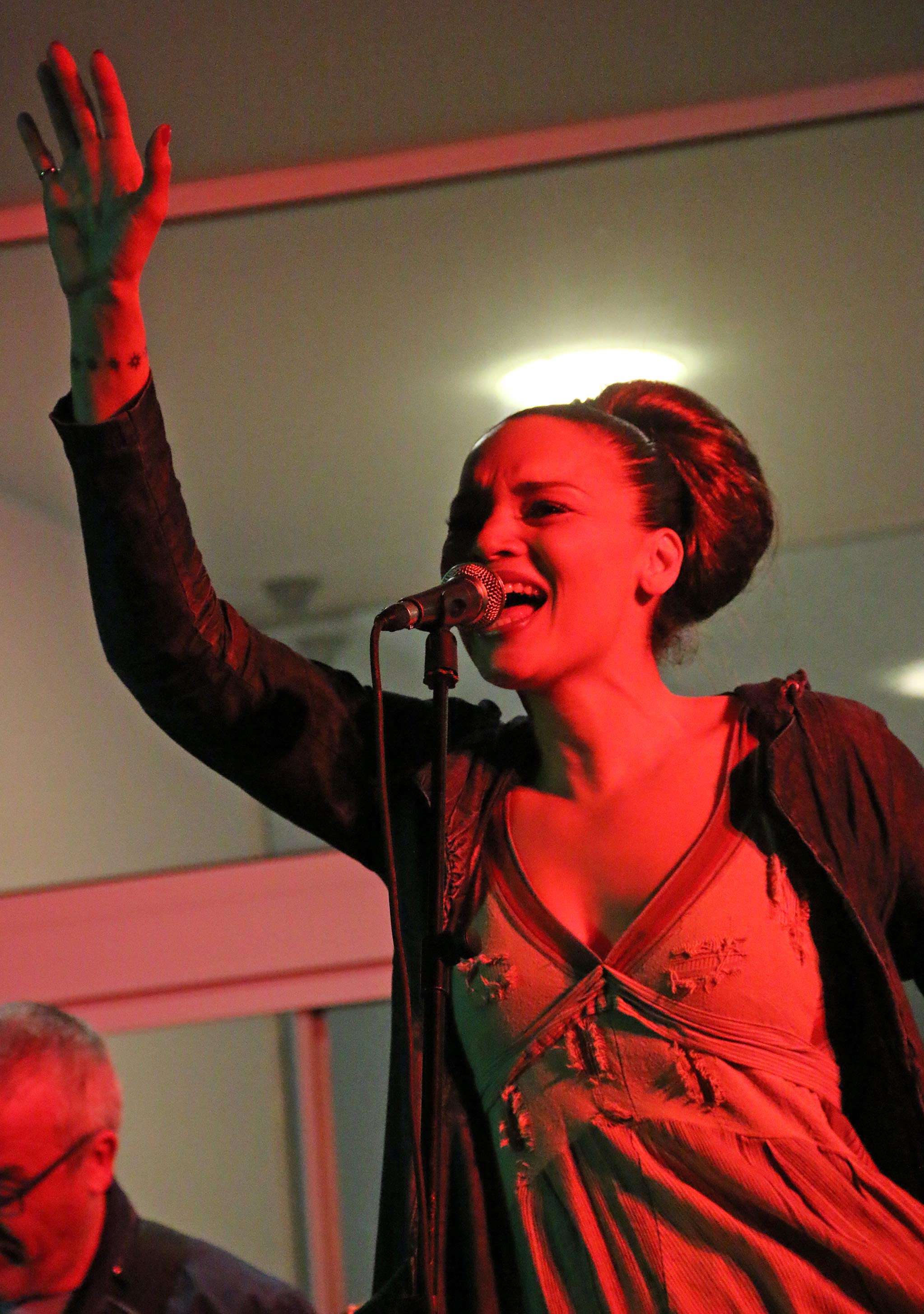 MAS: Koncert Matije Dedića i grupe Black Coffee, foto: eZadar