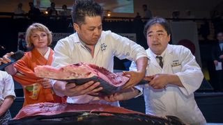 3. Tuna, Sushi & Wine Festival: Gala večera u Arsenalu 3. Tuna, Sushi & Wine Festival: Gala večera u Arsenalu