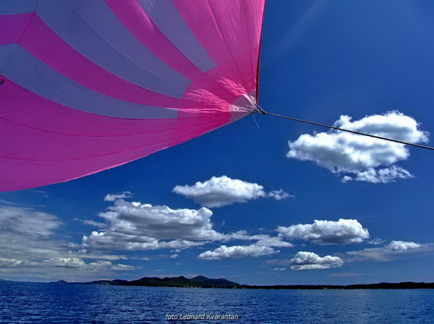 Zadarska regata 2014.  Foto: Leonard Kvarantan