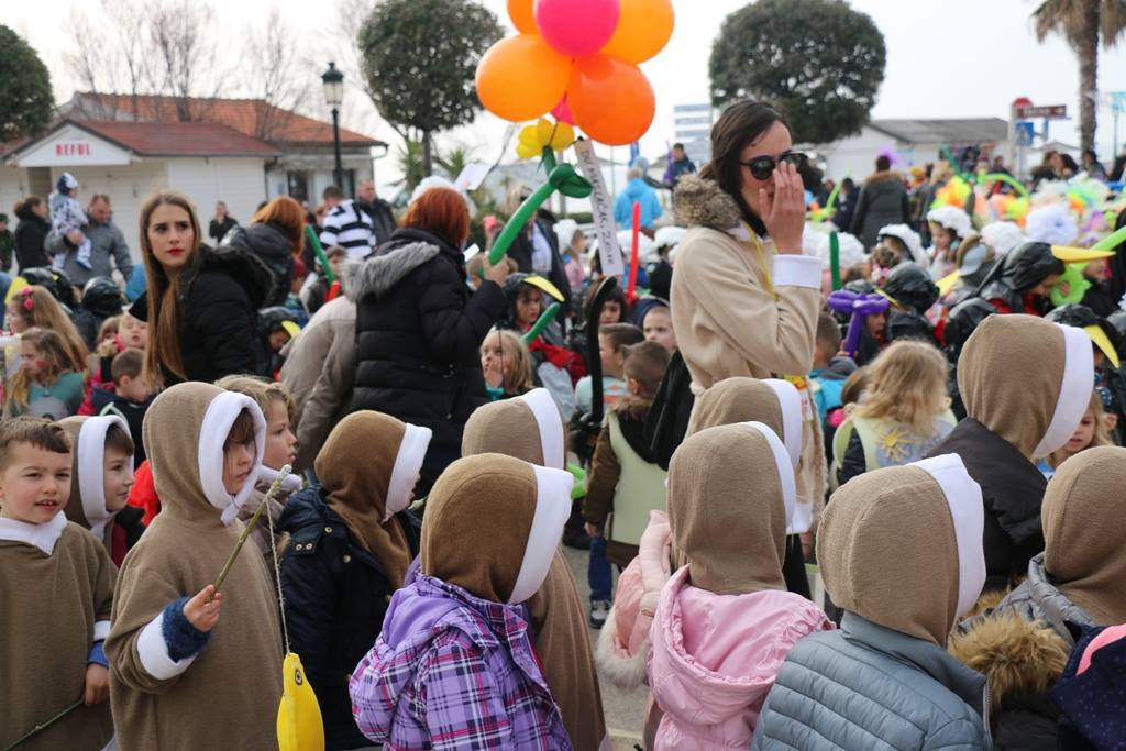 Virski Karnevalić 2017.