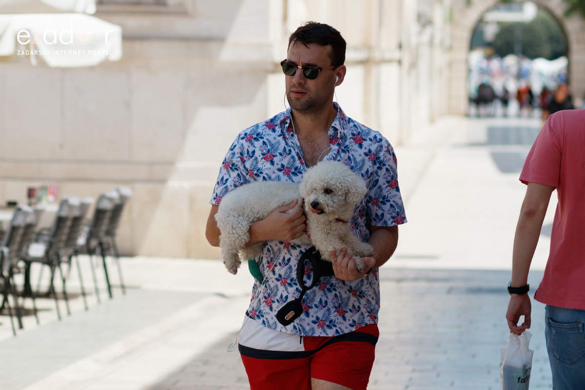 Đir po gradu, srijeda 26. lipnja 2019. Đir po gradu, srijeda 26. lipnja 2019.